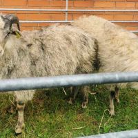 041