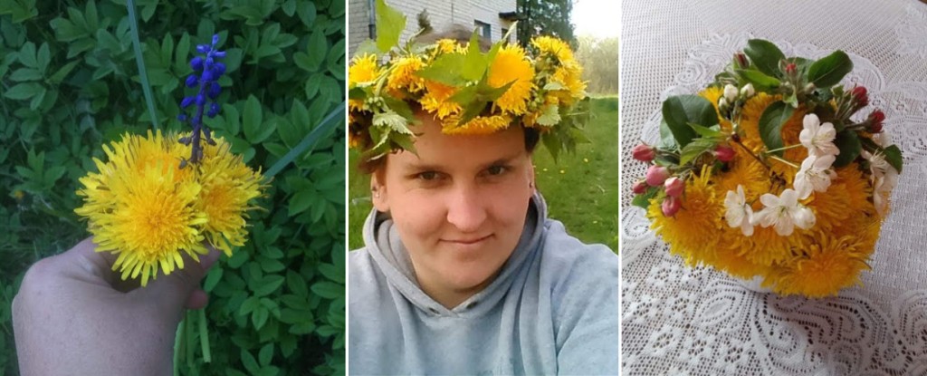 Gėlės Tarptautinei šeimos dienai